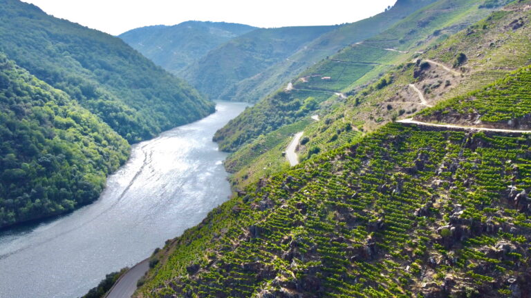 Llegan al Salón Gourmets las 25 joyas de la Ribeira Sacra: «Son la esencia embotellada de un milagro humano» 3 10 04 26 Gourmets 2026