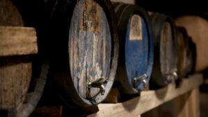 12 bodegas bajo tierra