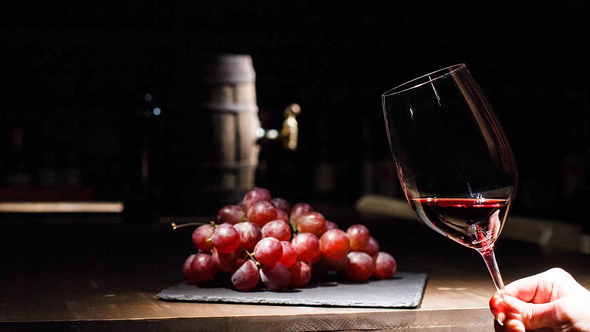 1730365401 Vino 6