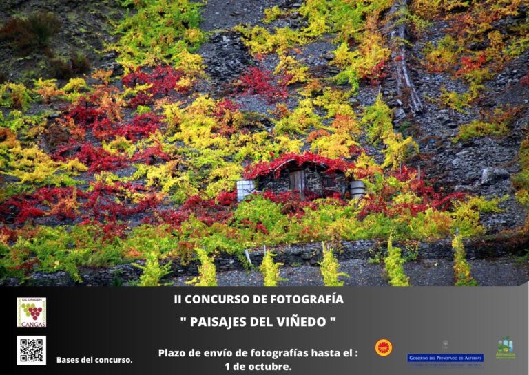 Abierto el II Concurso de Fotografía 'Paisajes del Viñedo' DOP Cangas 38 Abierto el II Concurso de Fotografia Paisajes del Vinedo con