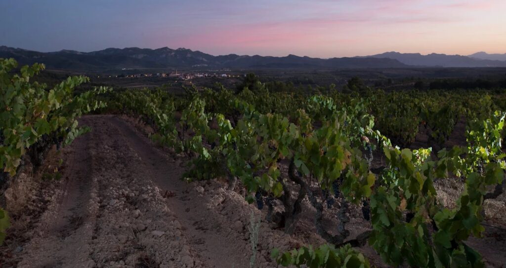 Acústic Celler inaugura bodega y potencia enoturismo en la DO Montsant 1 Acustic Celler en Marca inaugura bodega de vinos autoctonos para