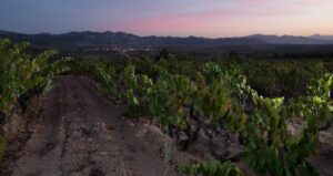Acustic Celler en Marca inaugura bodega de vinos autoctonos para