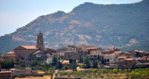 Agricola dUlldemolins primera cooperativa catalana en elaborar aceite ecologico