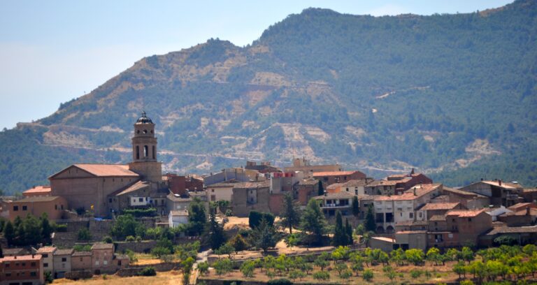 Cooperativa histórica Agrícola d’Ulldemolins, pionera en la producción de aceite ecológico en Catalunya 4 Agricola dUlldemolins primera cooperativa catalana en elaborar aceite ecologico
