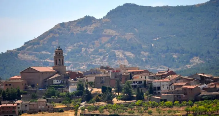 Cooperativa histórica Agrícola d’Ulldemolins, pionera en la producción de aceite ecológico en Catalunya