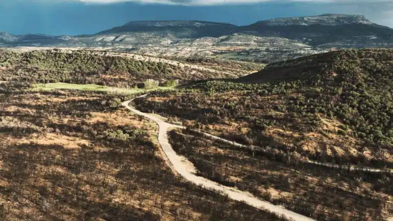 Bodega solidaria en Burgos reforesta parque natural con 1945 árboles nuevos y produce tres vinos