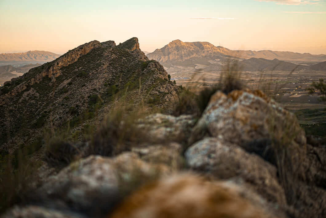 Cambio climático afecta al potencial vitivinícola en Jumilla según estudio financiado por UE 1 Cambio climatico amenaza potencial vitivinicola en Jumilla estudio busca adaptacion