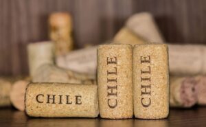 Chile afronta crisis economica y social en 2023