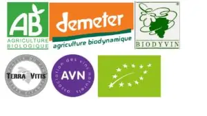 Crecimiento constante de los vinos ecológicos, camino a ser futuro del mercado vinícola