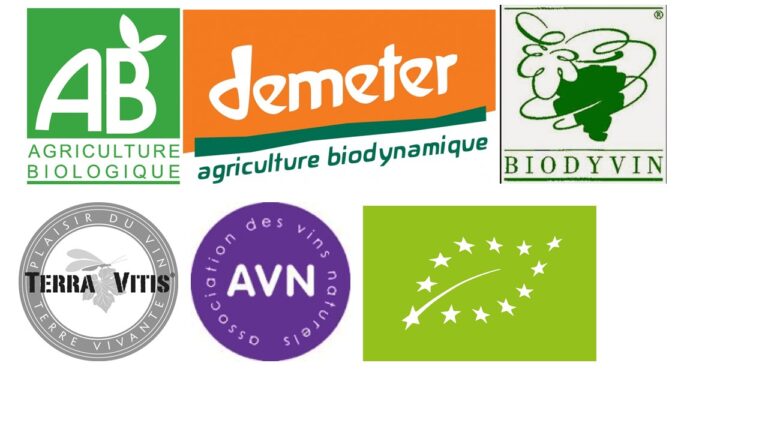 Crecimiento constante de los vinos ecológicos, camino a ser futuro del mercado vinícola 55 Crecimiento constante de los vinos ecologicos camino a ser futuro