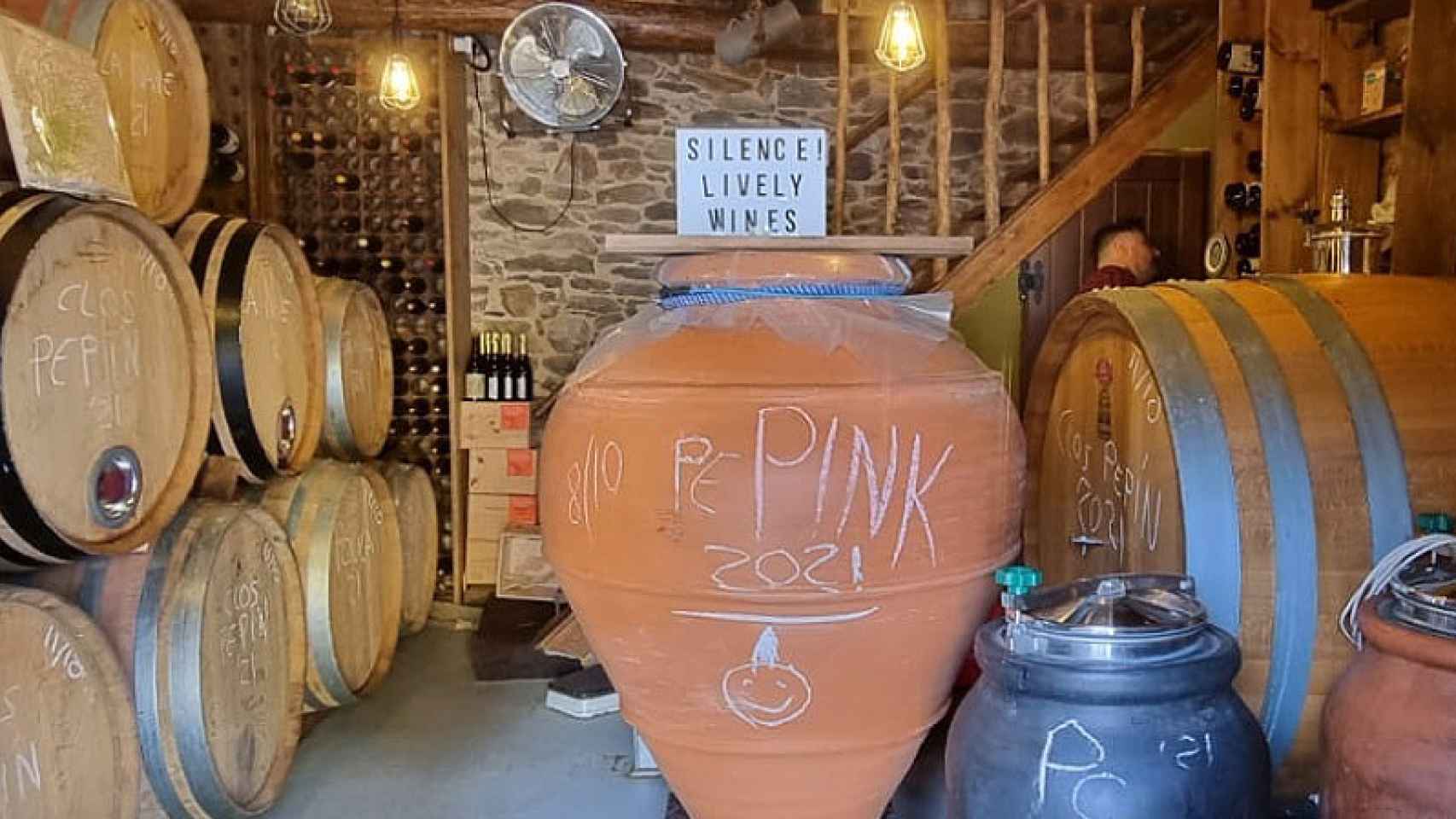 Descubre la singular ave que trae de vuelta el antiguo vino de mineros en Bierzo 1 Descubre la singular ave que trae de vuelta el antiguo