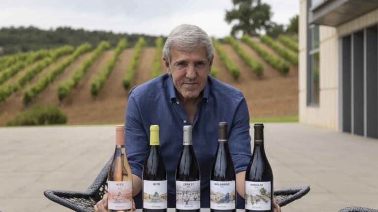 Descubren el vino más caro entre los dañados en una bodega de Valladolid vendido a 90 euros por botella 35 Descubren el vino mas caro entre los danados en una