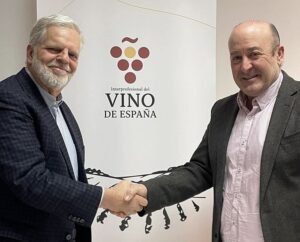 Descubriendo el mundo del vino espanol en la era digital