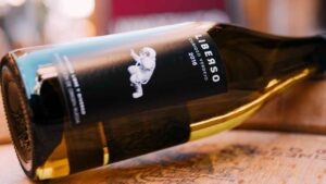 Descubriendo el verdejo sideral un vino unico surgido de la