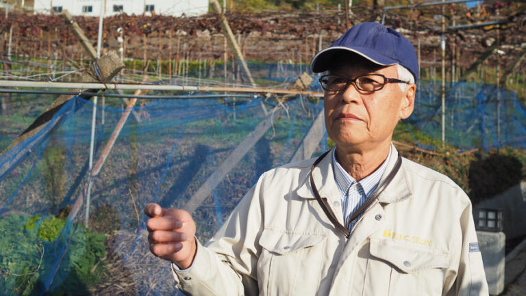 Descubriendo el vino japonés en la bodega Katashimo en Osaka 28 Descubriendo el vino japones en la bodega Katashimo en Osaka