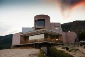 Disfruta de Emat en Baja California un viaje por vinedos