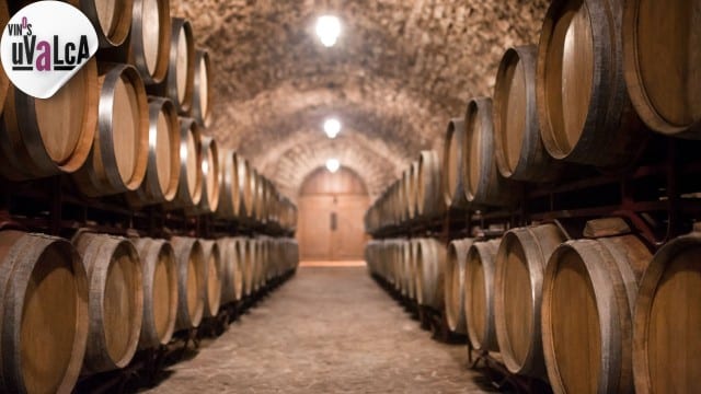 Explorando nuevas oportunidades para las bodegas de vino en la