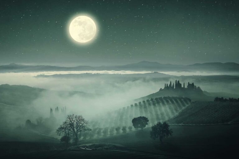 La influencia lunar en la biodynamia y sus implicaciones en la viticultura 54 La influencia lunar en la biodynamia y sus implicaciones en