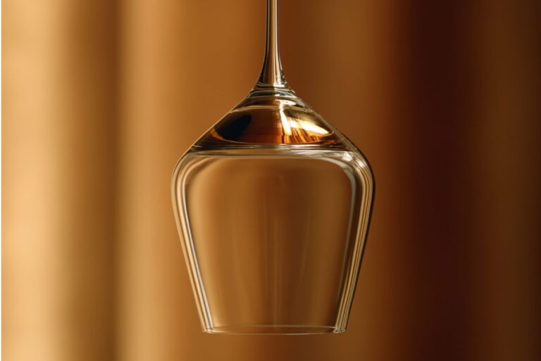 Descubriendo los vinos experimentales y efímeros, innovación y exclusividad en cada botella 53 Los vinos experimentales y efimeros el nuevo deleite para amantes