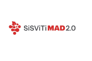 Presentan SiSViTiMAD 2.0 para impulsar la innovación en bodegas madrileñas 11 Presentan SiSViTiMAD 20 para impulsar la innovacion en bodegas madrilenas
