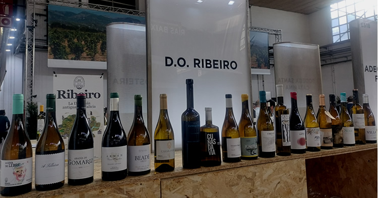 Los vinos Ribeiros captan la atención de expertos de 13 países en Barcelona Wine Week 2024 53 Profesionales internacionales se sumergen en los Ribeiros en Barcelona Wine