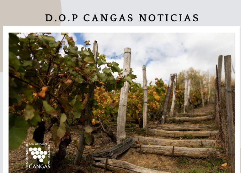 Mayo 2023: Novedades y actualizaciones en la web docangas 36 Resumen de los eventos mas destacados de mayo 2023 segun