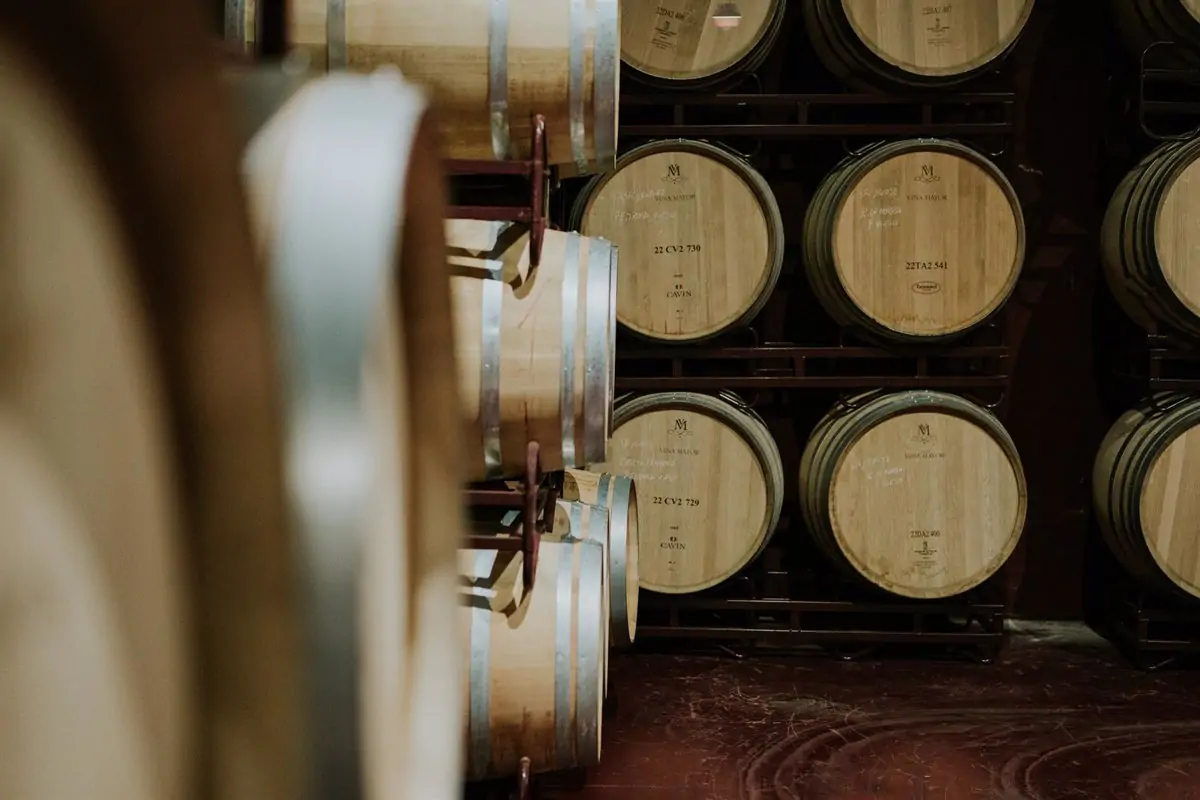 Sogrape Bodegas LAN crece en España tras adquirir Viña Mayor 1 Sogrape-Bodegas-LAN-expande-en-Espana-con-adquisicion-de-Vina.jpg
