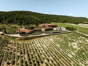 Sogrape la empresa vinicola lider en Portugal adquiere Vina Mayor