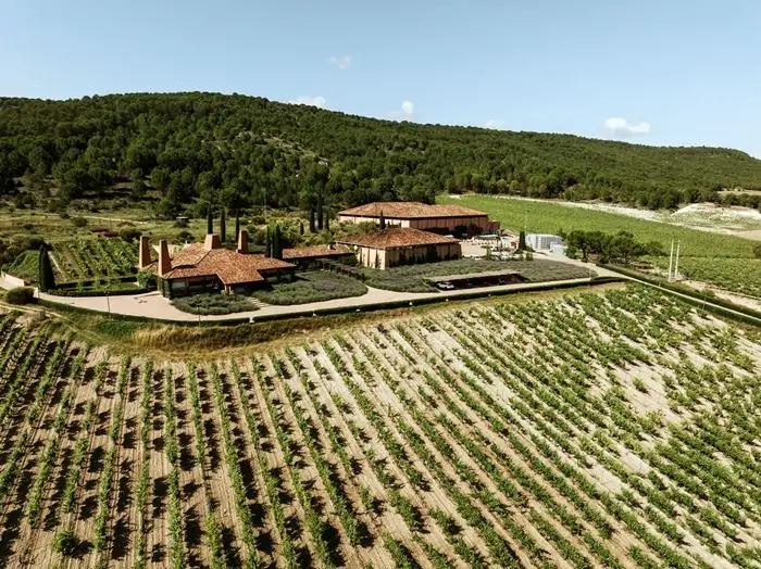 Sogrape la empresa vinícola líder en Portugal adquiere Viña Mayor