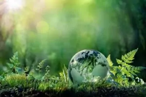 Valoritalia y Santa Chiara Next lanzan Equiplanet, sostenibilidad agrícola según la ONU