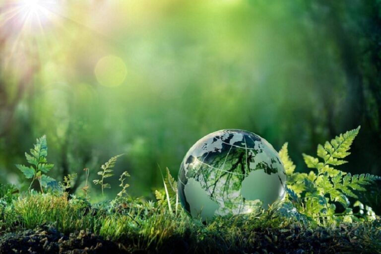 Valoritalia y Santa Chiara Next lanzan Equiplanet, sostenibilidad agrícola según la ONU 40 Valoritalia y Santa Chiara Next lanzan Equiplanet sostenibilidad agricola segun