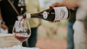 Vinos emergentes que definiran la tendencia en 2024