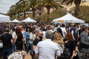 21 bodegas celebraran la mini feria de vinos DOP Jumilla el