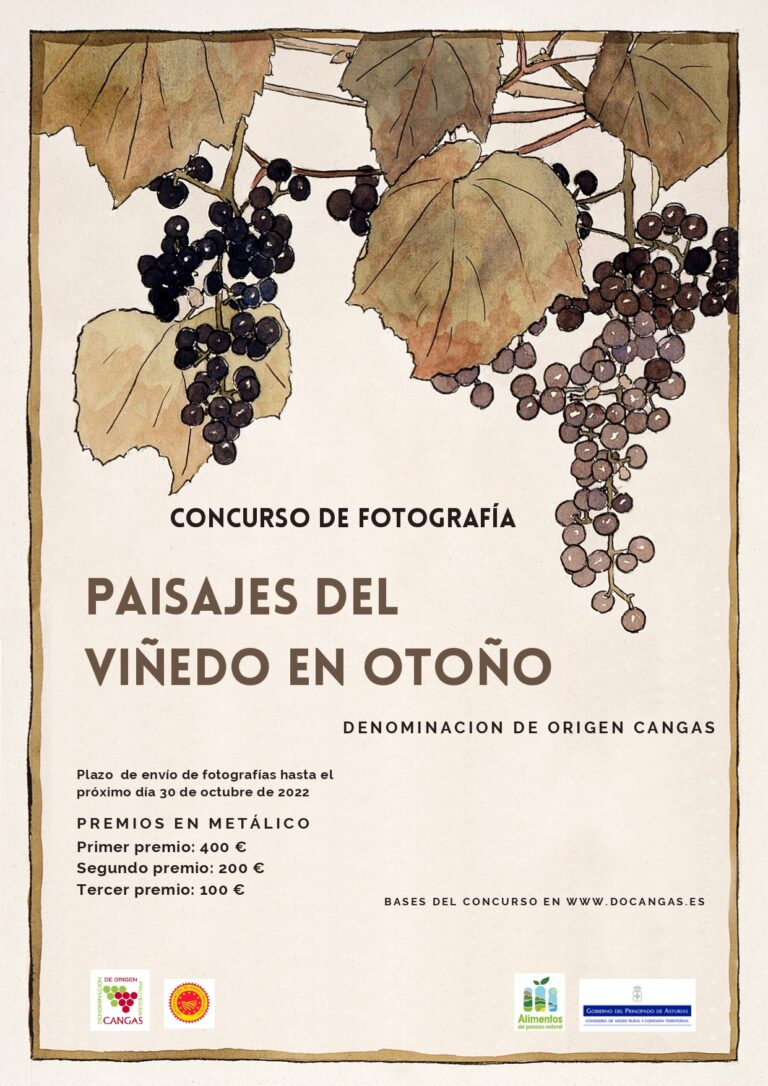 Convocatoria de concurso de fotografía de viñedos DOP Cangas con premios en metálico 34 Anuncian concurso de fotografia de vinedos DOP Cangas con premios