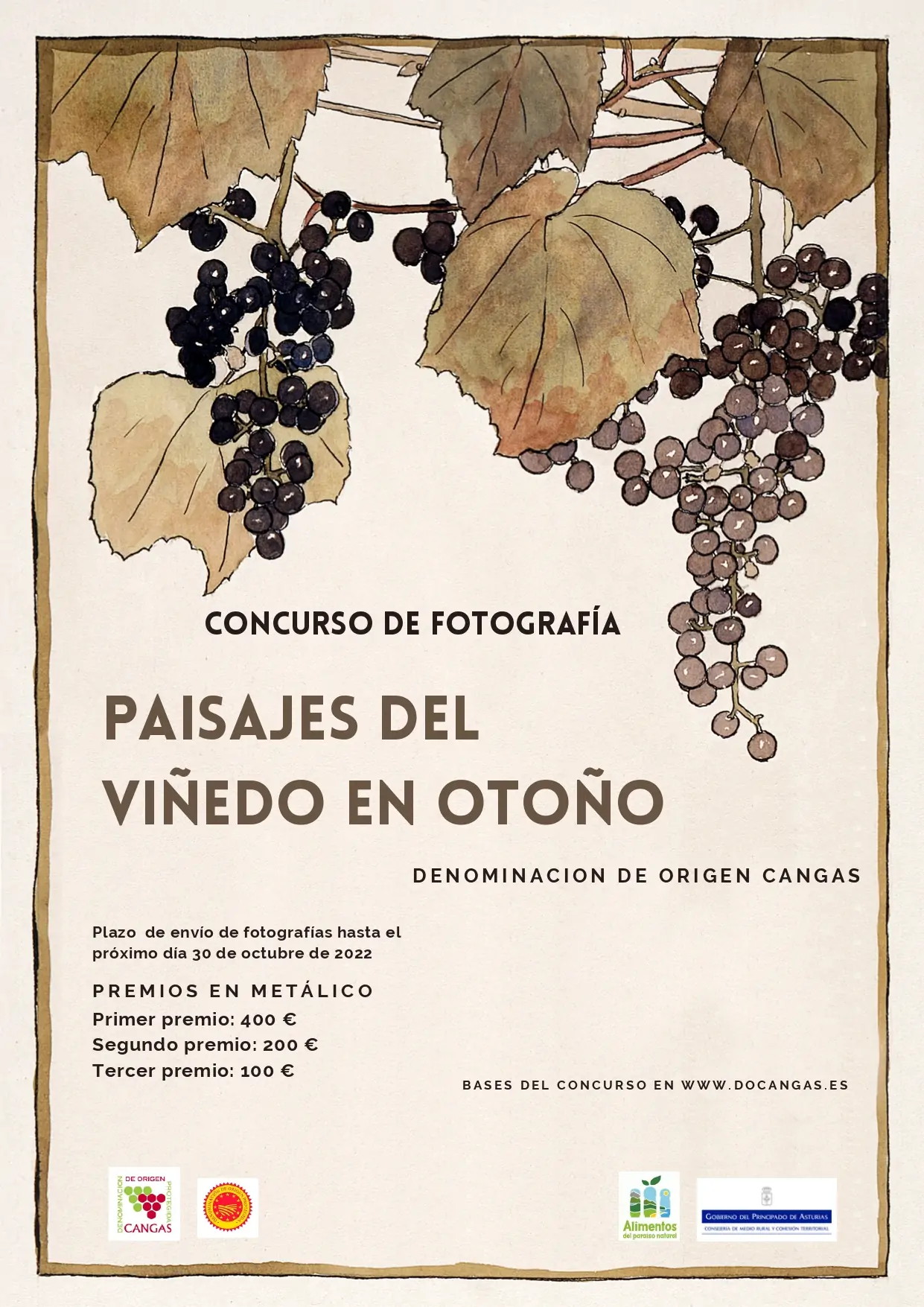 Convocatoria de concurso de fotografía de viñedos DOP Cangas con premios en metálico 1 Anuncian-concurso-de-fotografia-de-vinedos-DOP-Cangas-con-premios.jpg