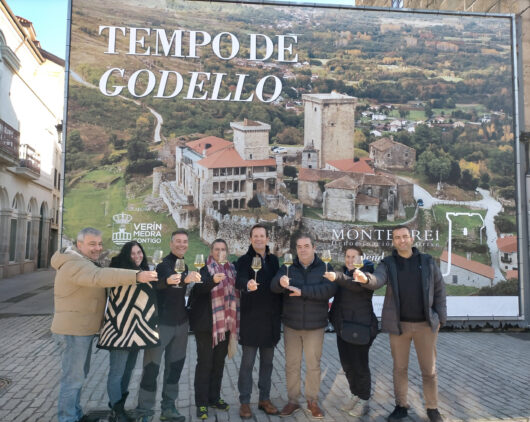 Ayuntamiento de Verín colabora con Monterrei en campaña promocional de vino Godello 1 Ayuntamiento de Verin apoya campana promocional de vinos DO Monterrei