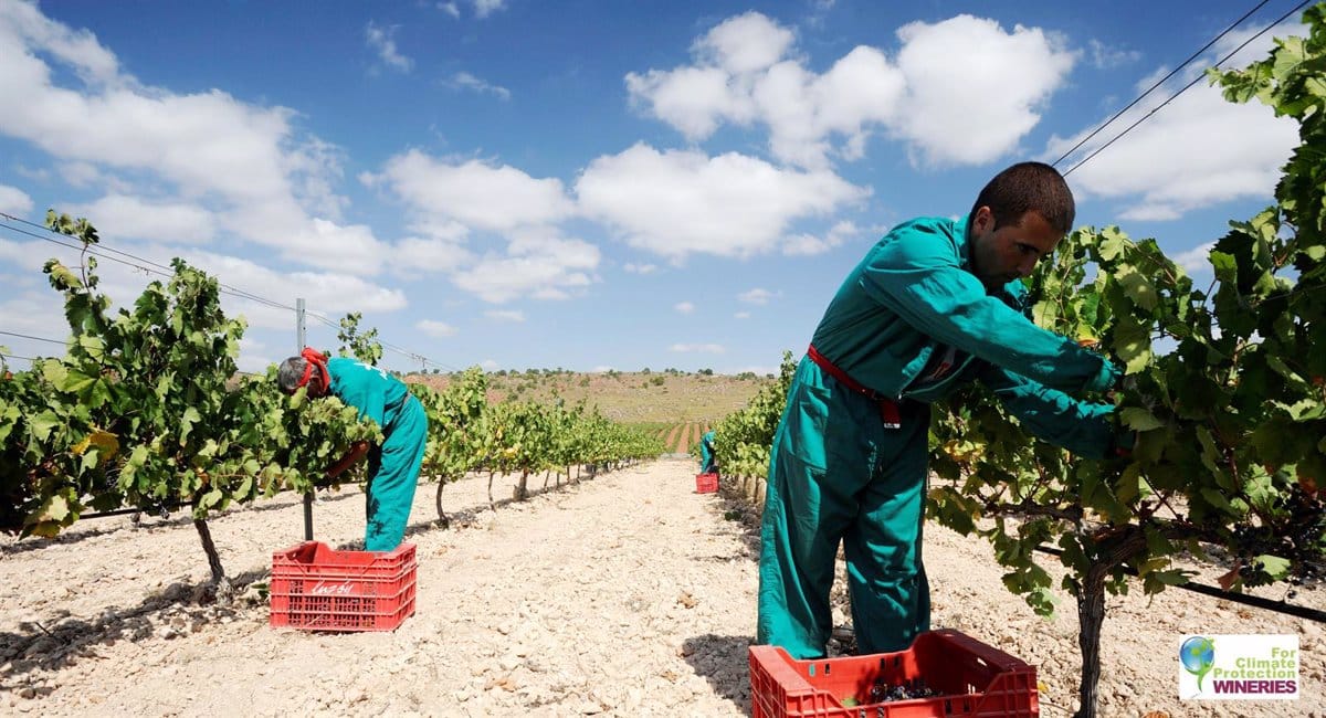 Bodegas Luzon renueva compromiso medioambiental con certificado SWfCP