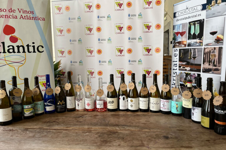 Bodegas de la DO León triunfan en Concurso Internacional de Vinos Atlánticos 56 Bodegas de la DO Leon triunfan en Concurso Internacional de