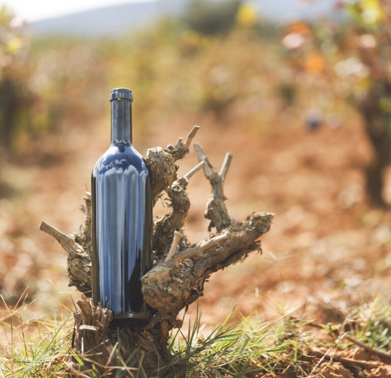 El enoturismo, la experiencia imperdible para amantes de la cultura del vino 3 Cada vez mas populares las aventuras enoturisticas en la region