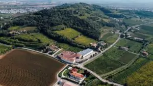Cantina Cavazza presenta nueva identidad de marca y apuesta por sostenibilidad