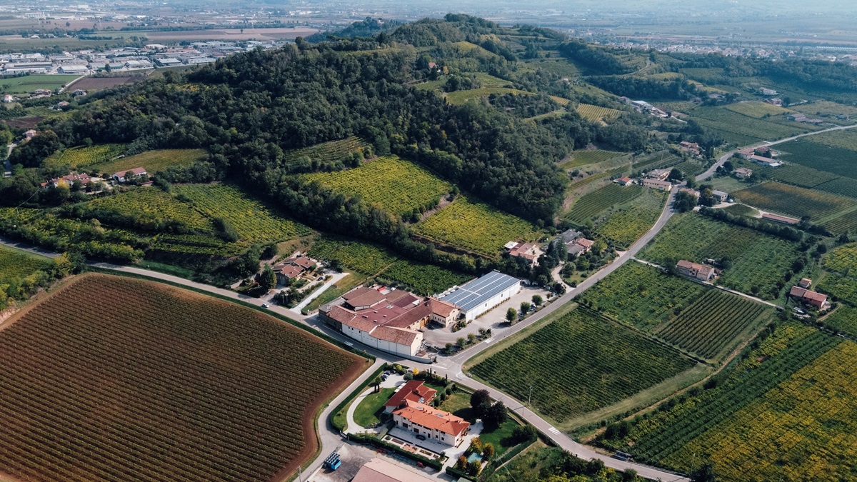Cantina Cavazza presenta nueva identidad de marca y apuesta por