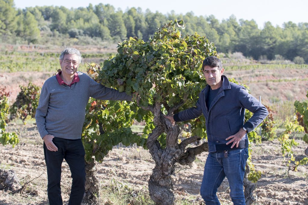 Celler Cal Bessó ofrece actividades de enoturismo personalizadas con degustación incluida 1 Celler Cal Besso ofrece actividades de enoturismo personalizadas con degustacion