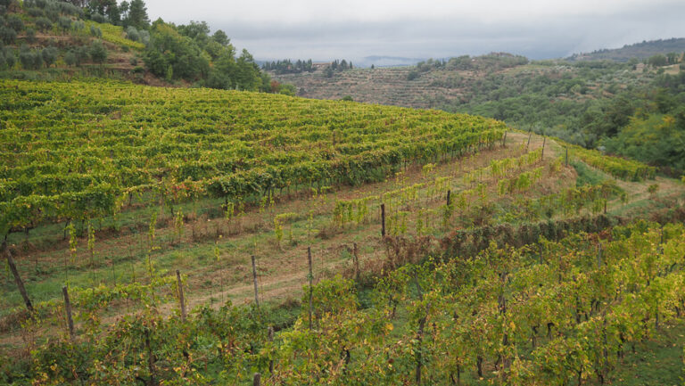 Chianti Classico se divide en 11 unidades geográficas adicionales desde 2022 24 Chianti Classico se divide en 11 unidades geograficas adicionales desde