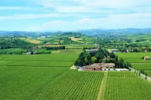 Cleto Chiarli abrirá museo de degustación de vino en Tenuta Cialdini, Italia