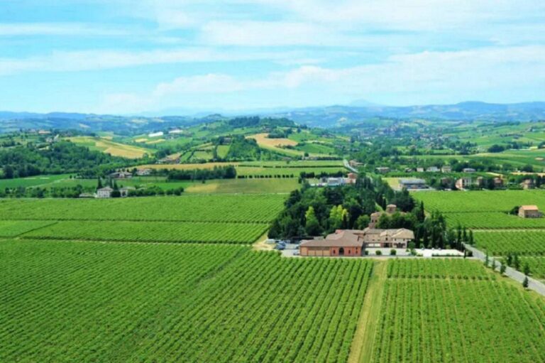 Cleto Chiarli abrirá museo de degustación de vino en Tenuta Cialdini, Italia 59 Cleto Chiarli abrira museo de degustacion de vino en Tenuta