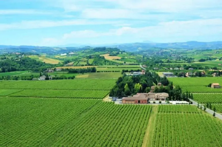 Cleto Chiarli abrirá museo de degustación de vino en Tenuta Cialdini, Italia