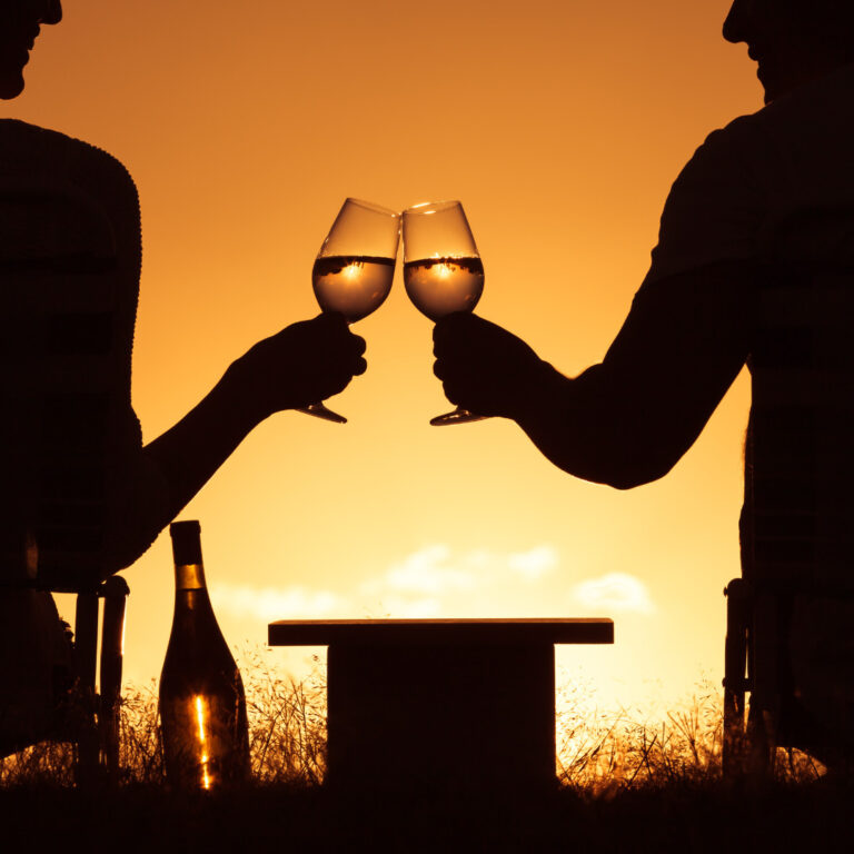 Celebra San Valentín con un brindis especial, elige el vino perfecto 46 Consejos para elegir el vino perfecto en San Valentin segun