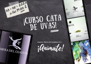 Curso de cata de uva gratuito en la Ribera del