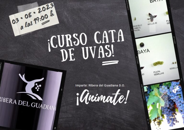 Curso gratuito de cata de uva en Ribera del Guadiana en agosto 2023 17 Curso de cata de uva gratuito en la Ribera del