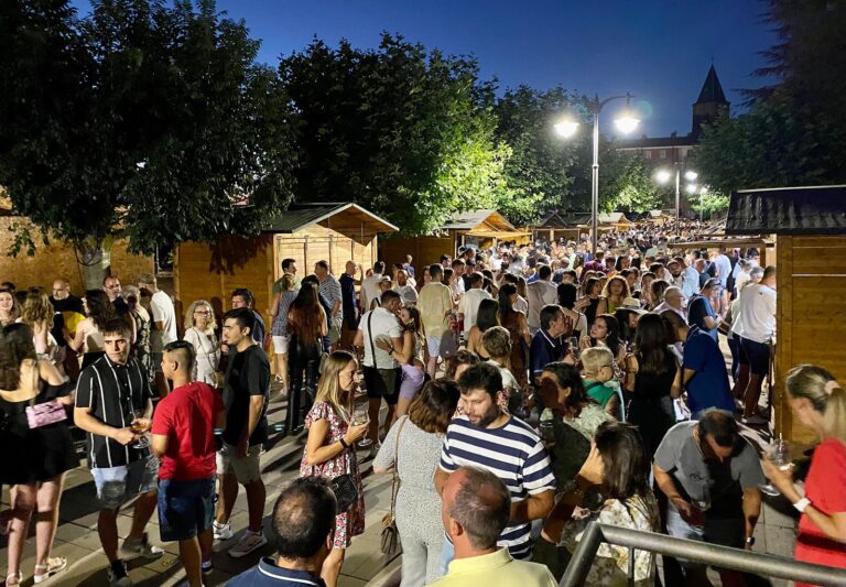 Valencia de Don Juan celebra la Feria del Vino DO León del 28 al 30 de julio 20 DO Leon presenta excelentes vinos 2022 en feria anual con